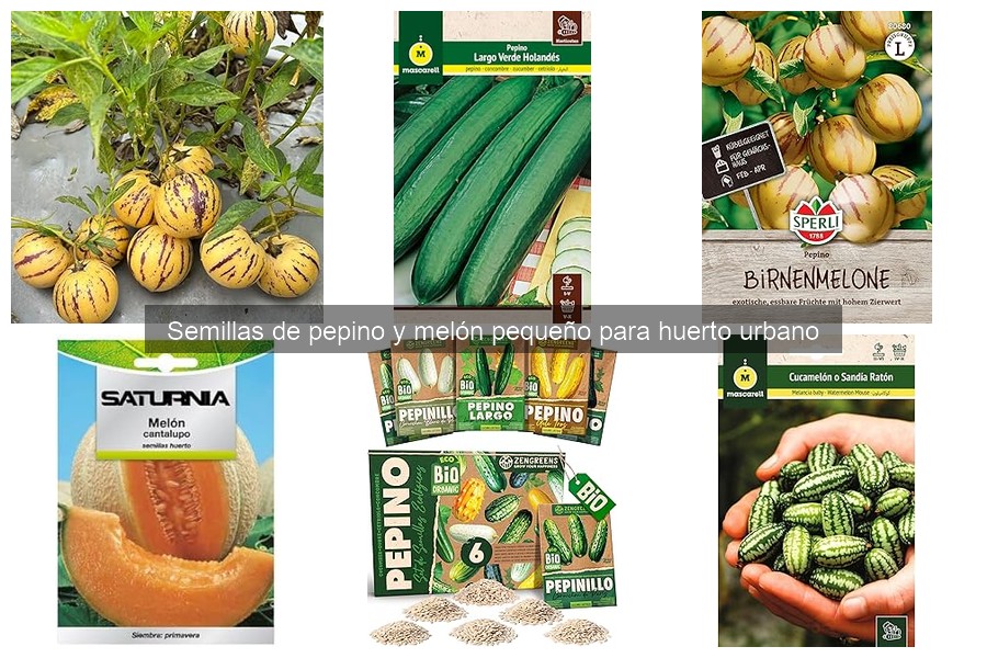 Cómo cultivar semillas de pepino y melón pequeño en casa