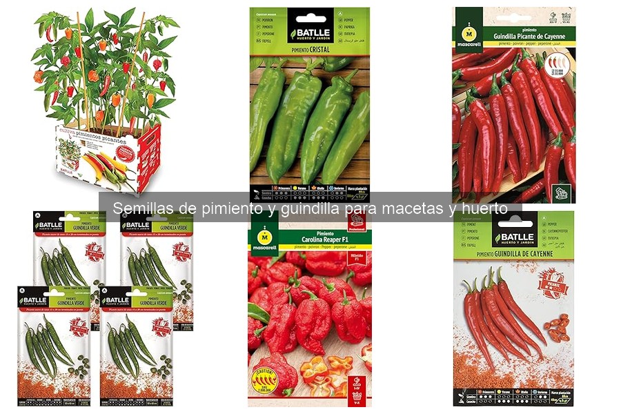 Cómo cultivar semillas de pimiento en macetas fácilmente