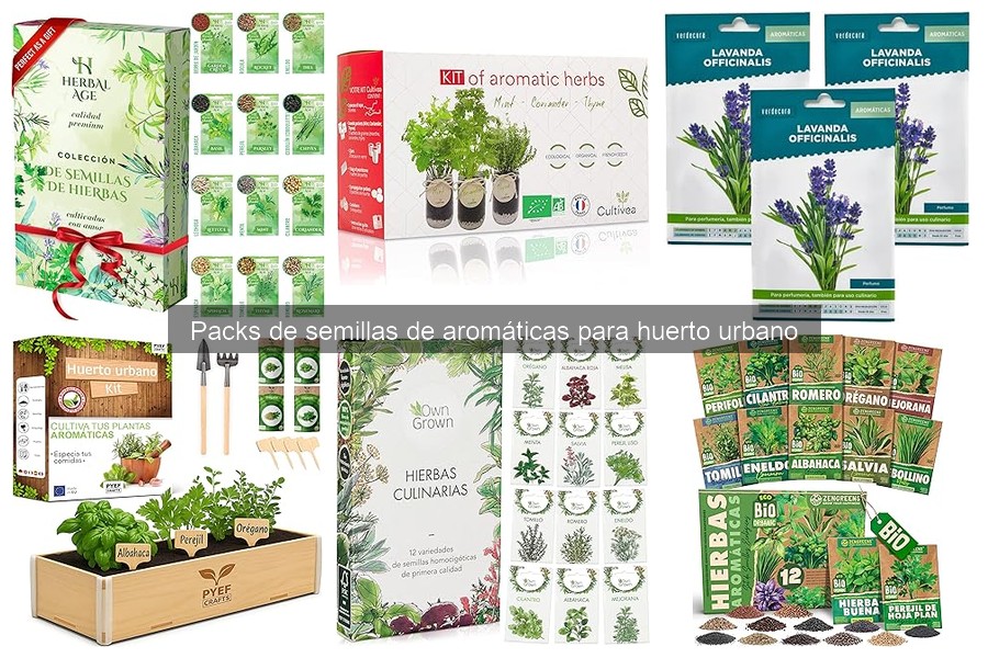 Cómo Cultivar y Cuidar Semillas de Aromáticas en tu Huerto