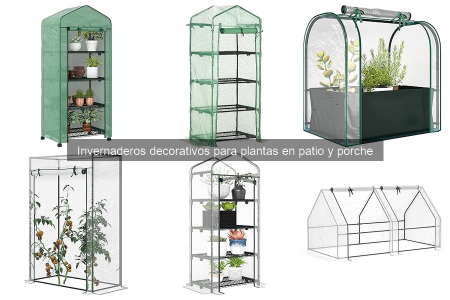 Cómo Decorar un Invernadero Decorativo para tu Patio