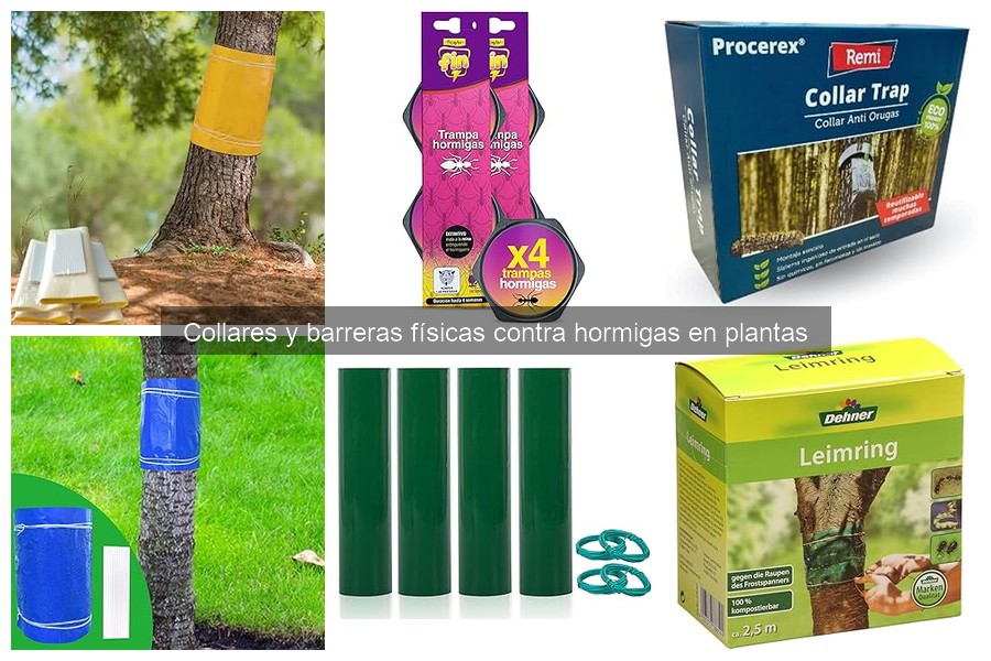 Cómo elegir el collar o barrera contra hormigas para tus plantas