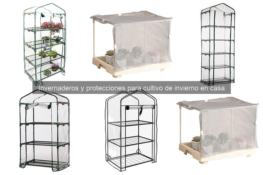 Cómo elegir el invernadero perfecto para tu espacio
