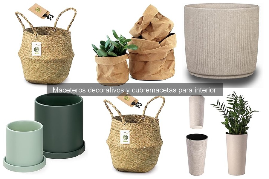 Cómo elegir el macetero decorativo ideal para tus plantas