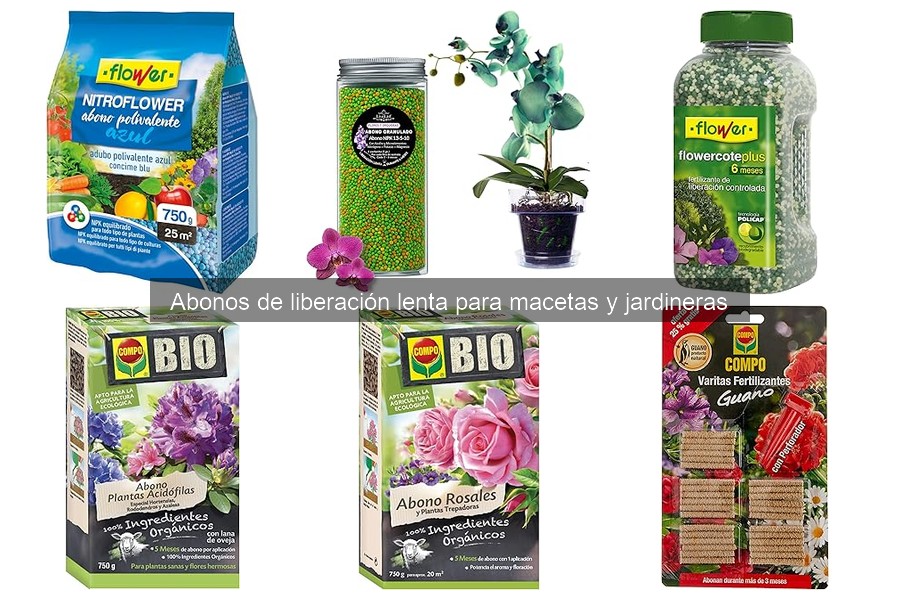 Cómo elegir el mejor abono de liberación lenta para tus plantas