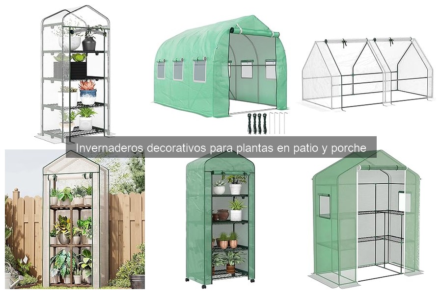 Cómo elegir el mejor invernadero decorativo para tu patio