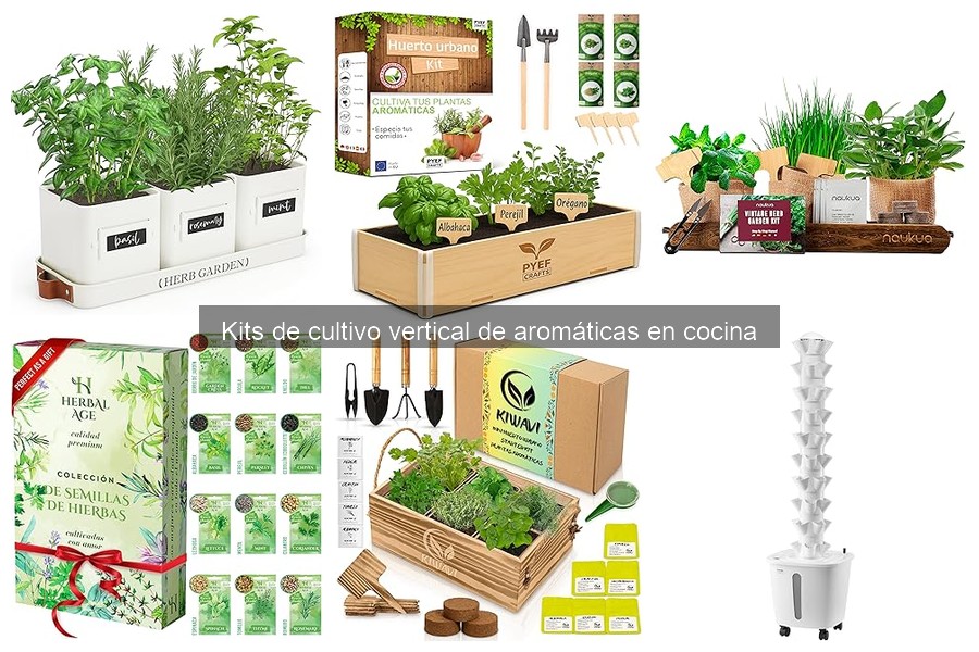 Cómo elegir el mejor kit de cultivo vertical de aromáticas