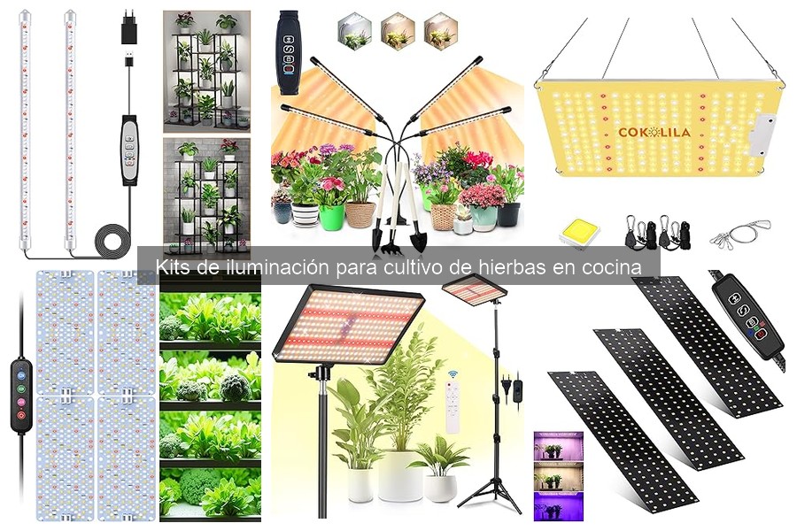 Cómo elegir el mejor kit de iluminación para hierbas