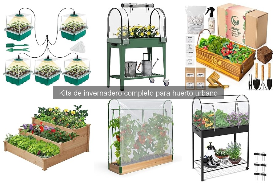 Cómo elegir el mejor kit de invernadero para tu espacio