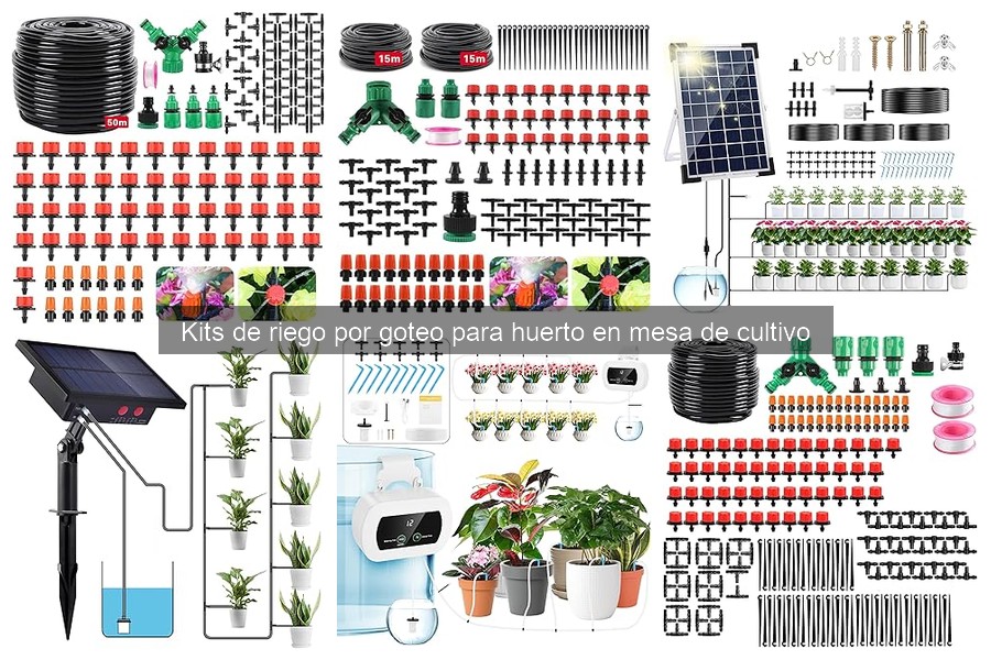 Cómo Elegir el Mejor Kit de Riego por Goteo para tu Huerto