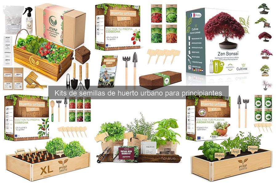 Cómo elegir el mejor kit de semillas para tu espacio