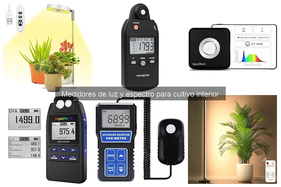 Cómo elegir el mejor medidor de luz para tus plantas