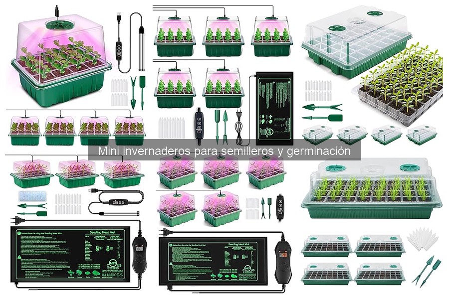 Cómo elegir el mejor mini invernadero para semilleros