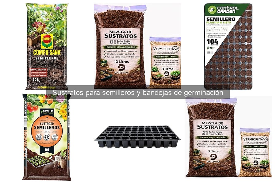 Cómo elegir el sustrato óptimo para semilleros