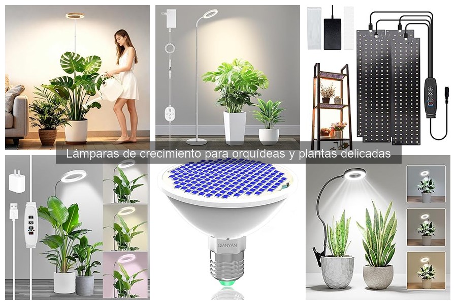 Cómo elegir la lámpara de crecimiento ideal para orquídeas