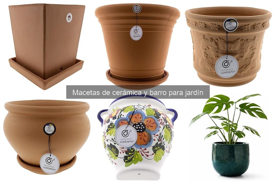 Cómo elegir la maceta adecuada para tus plantas