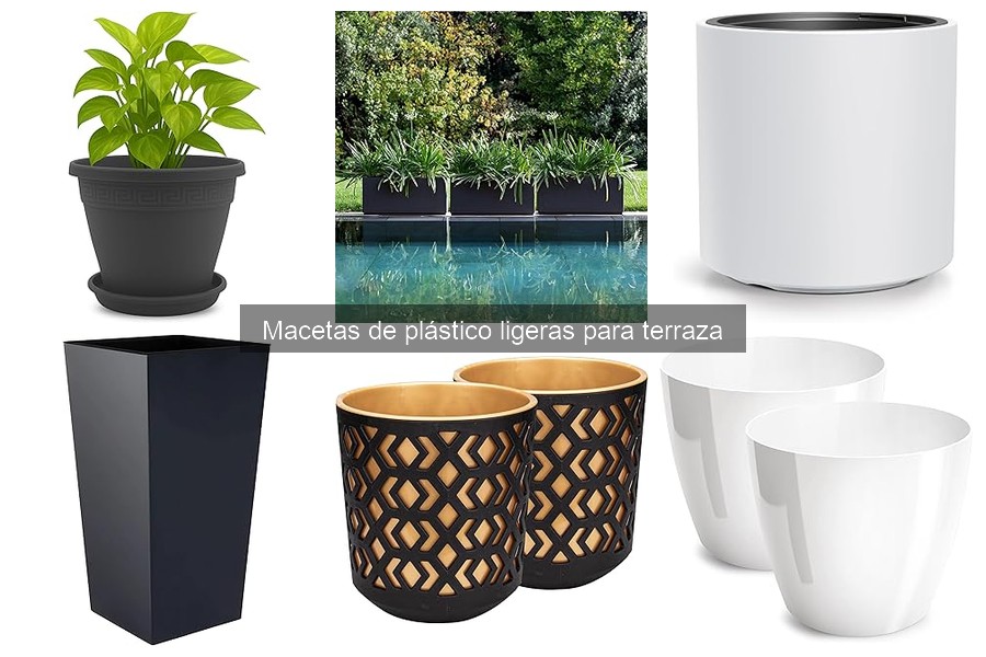 Cómo elegir la maceta de plástico ligera perfecta