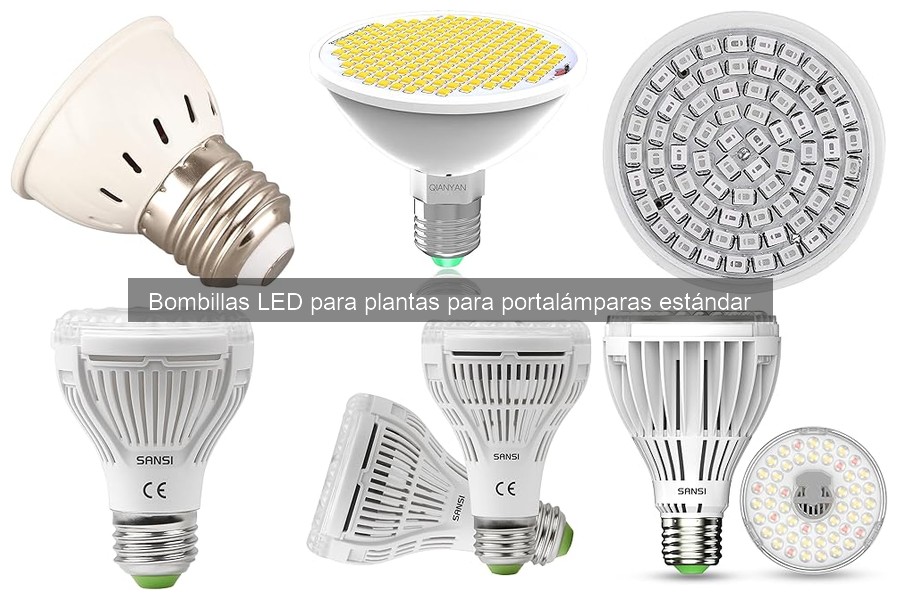 Cómo elegir la mejor bombilla LED para plantas