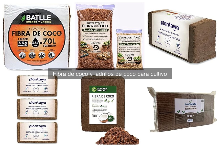 Cómo elegir la mejor fibra de coco para tu cultivo