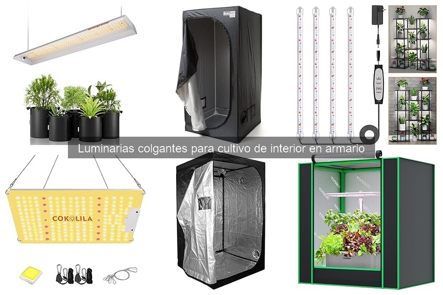 Cómo elegir la mejor luminaria colgante para tus plantas