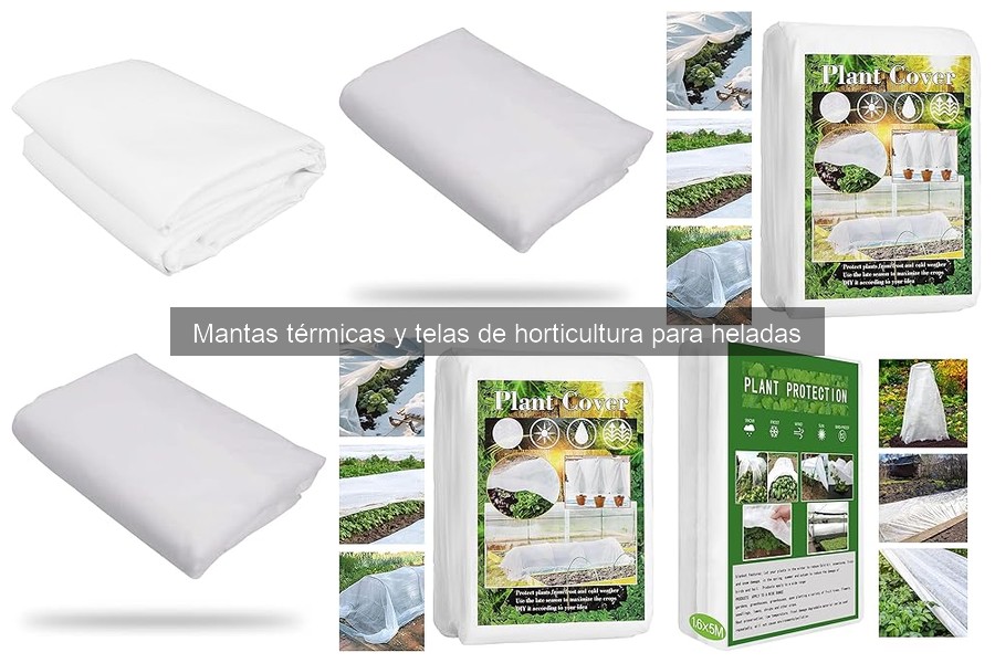 Cómo Elegir la Mejor Manta Térmica para Tus Plantas