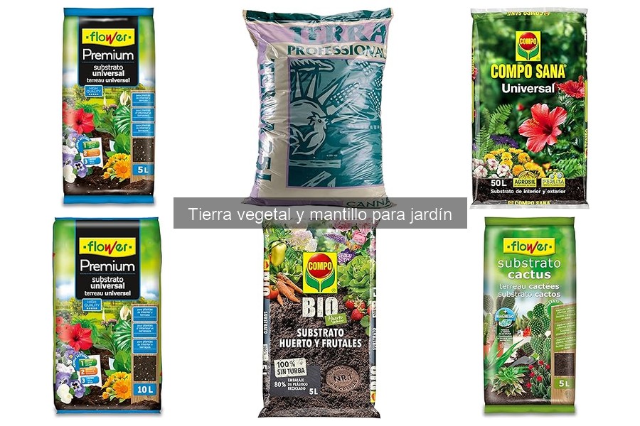 Cómo elegir la mejor tierra vegetal para tus macetas