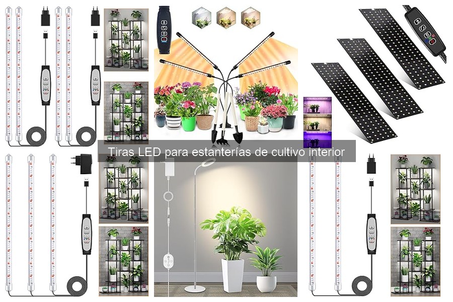Cómo elegir la tira LED perfecta para tu cultivo interior