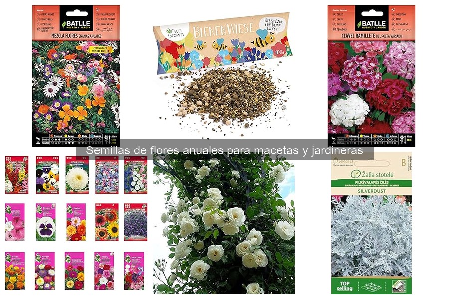 Cómo elegir semillas de flores anuales para jardineras