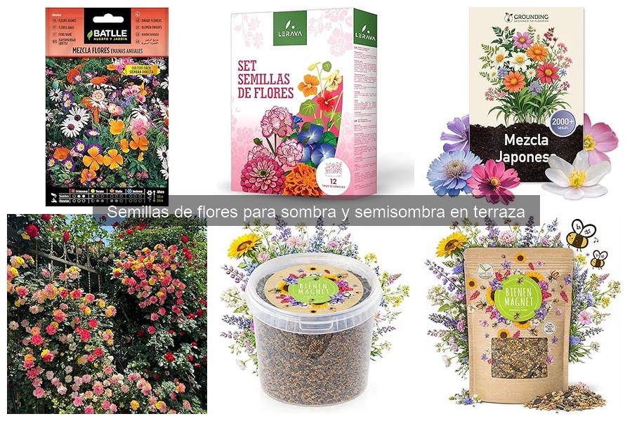 Cómo elegir semillas de flores para sombra según el clima