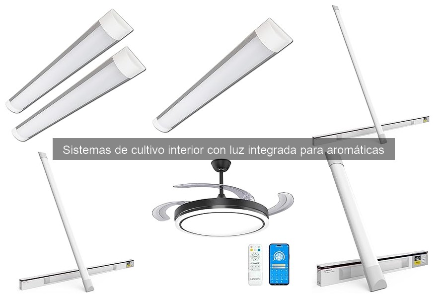 Cómo elegir sistemas de cultivo interior para aromáticas