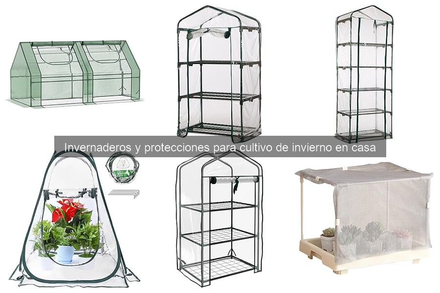 Cómo evitar la condensación en invernaderos de invierno