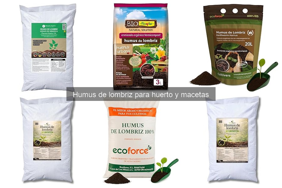 Cómo hacer humus de lombriz en casa fácilmente