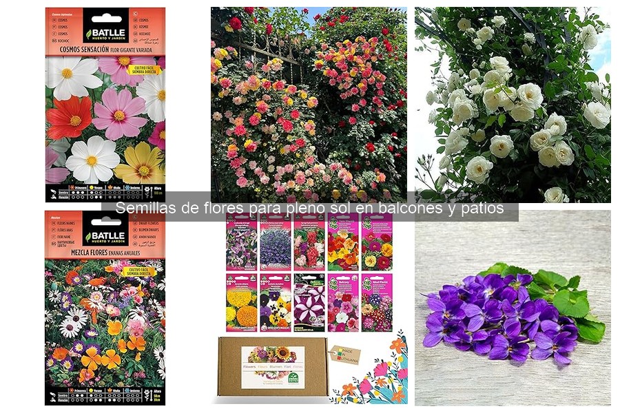 Cómo hacer un terrario con flores para balcones y patios