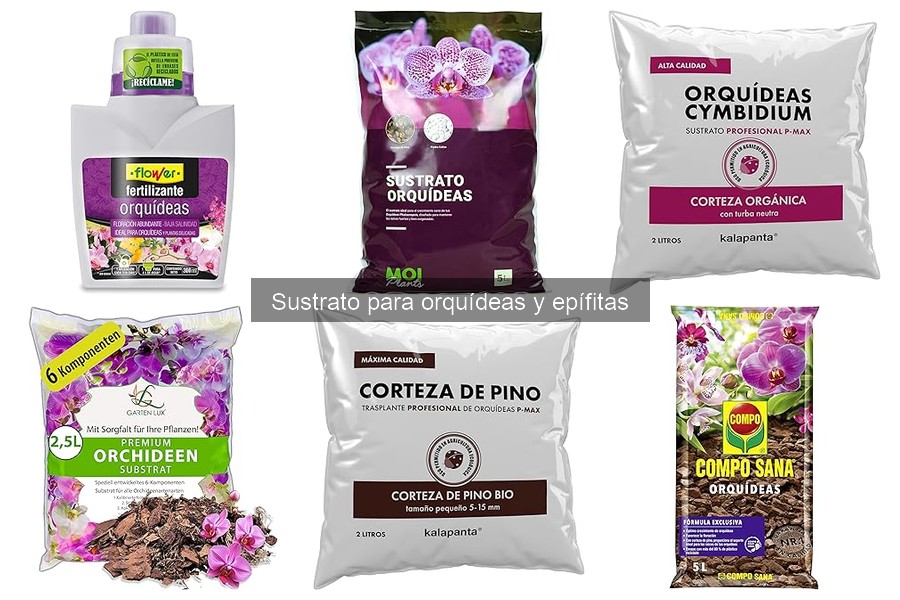 Cómo Identificar un Buen Sustrato para Orquídeas