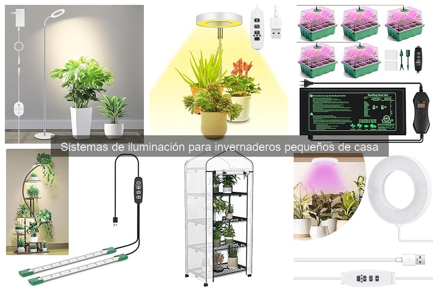 Cómo influye la iluminación en el crecimiento de las plantas
