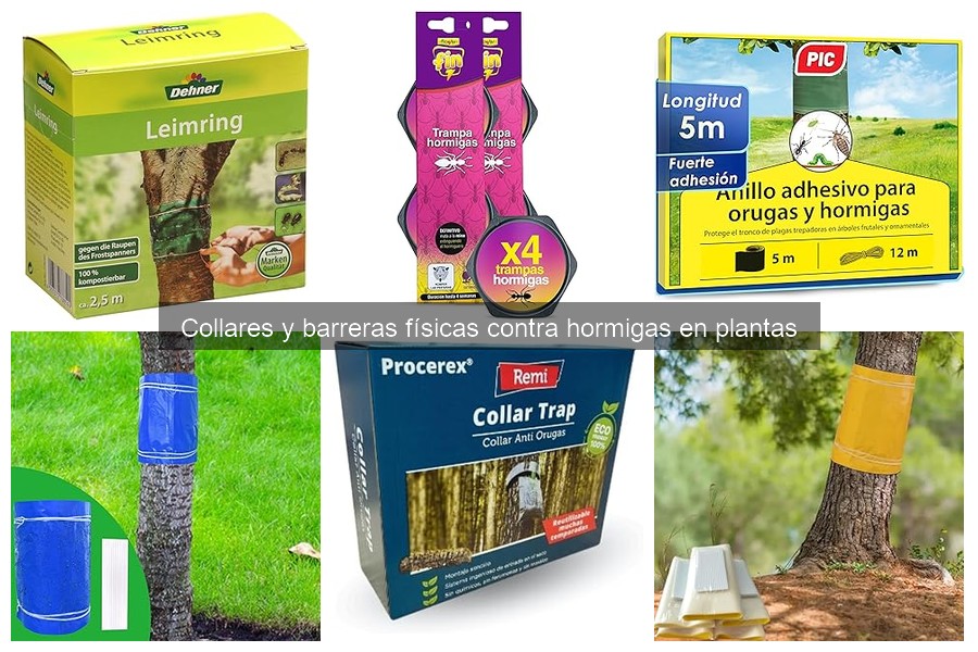 Cómo instalar collares y barreras contra hormigas en plantas