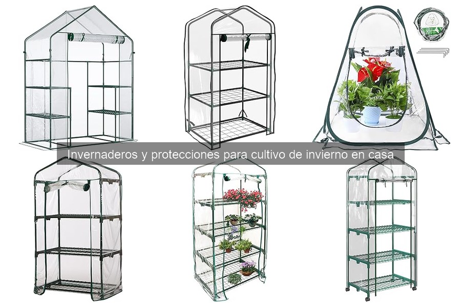 Cómo Instalar un Invernadero en Casa: Guía Paso a Paso