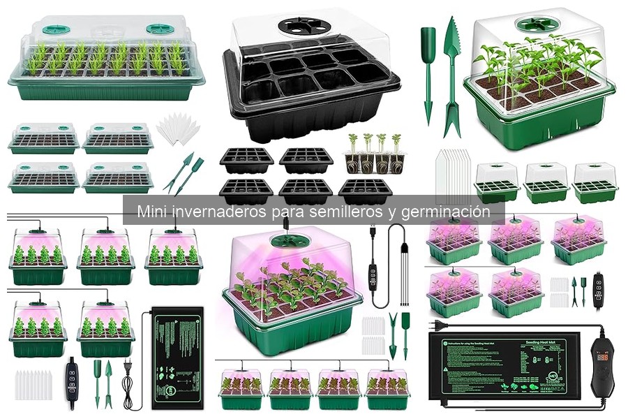 Cómo instalar un mini invernadero para semilleros fácilmente