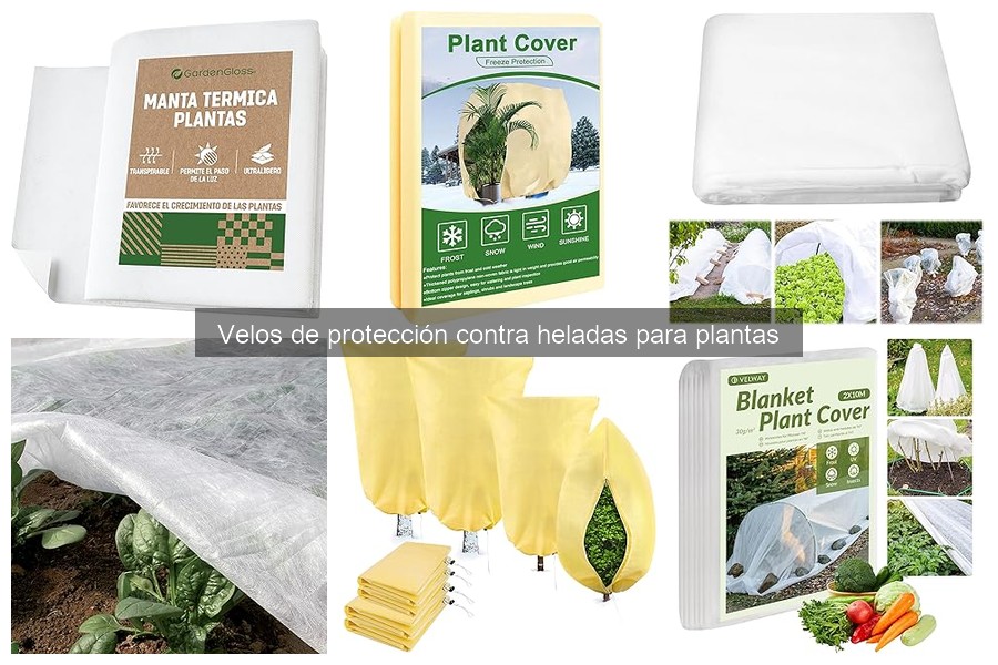Cómo Instalar un Velo de Protección contra Heladas en Plantas