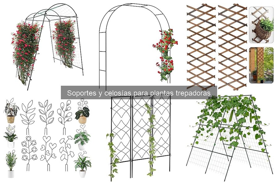 Cómo instalar una celosía para plantas trepadoras fácilmente