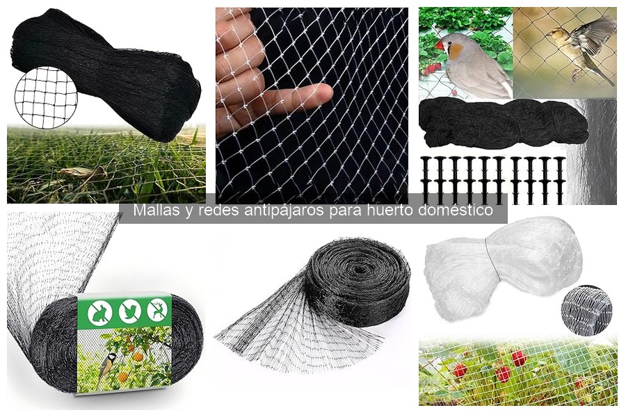 Cómo instalar una red antipájaros en tu huerto