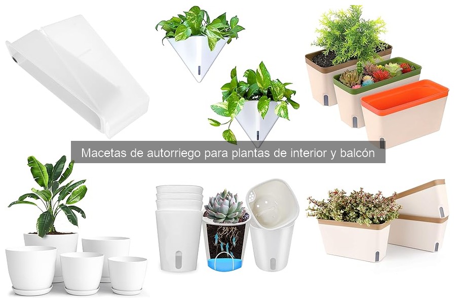 Cómo Instalar y Configurar Macetas de Autorriego