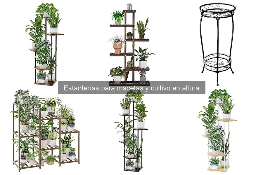 Cómo mantener estanterías para macetas en buen estado