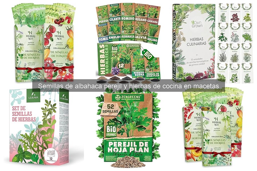 Cómo mantener hierbas frescas tras la cosecha: consejos esenciales