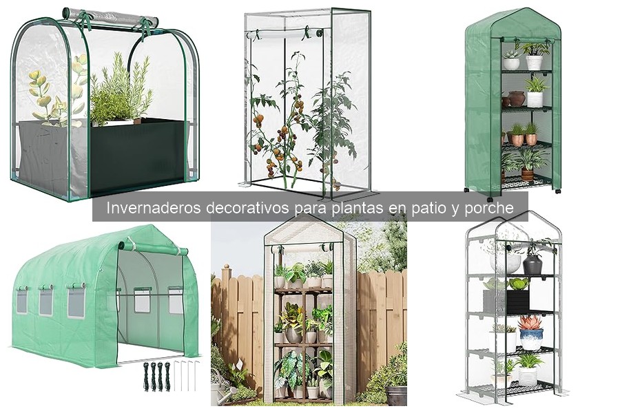 Cómo mantener invernaderos decorativos en perfecto estado