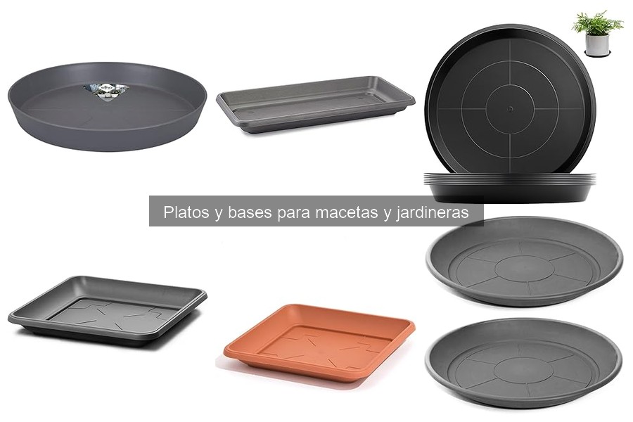 Cómo mantener platos y bases para macetas de forma efectiva