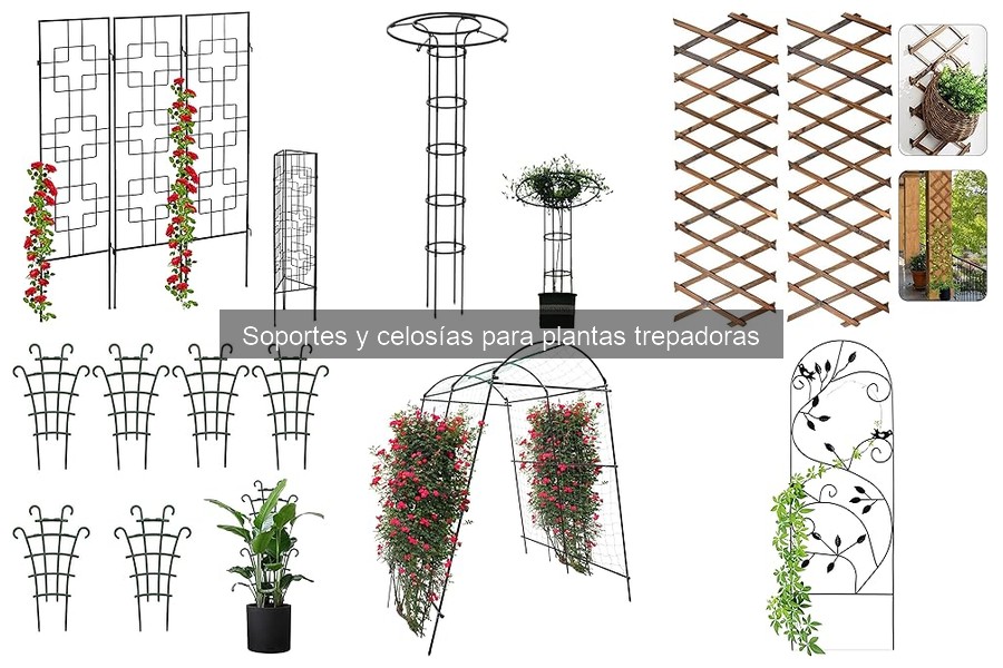 Cómo Mantener Soportes y Celosías para Plantas Trepadoras