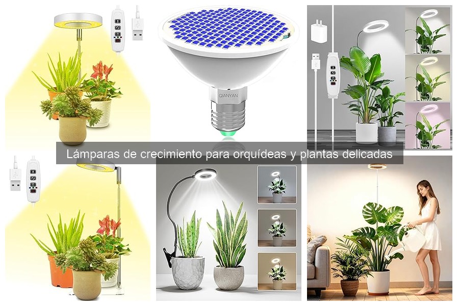 Cómo mantener y limpiar lámparas de crecimiento para orquídeas