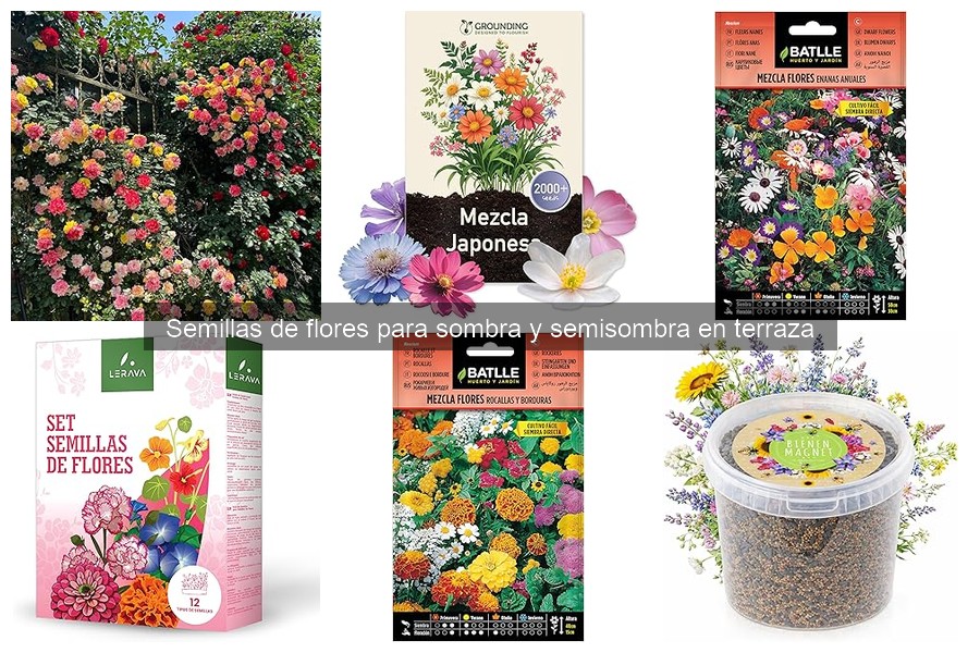 Cómo plantar semillas de flores en sombra correctamente