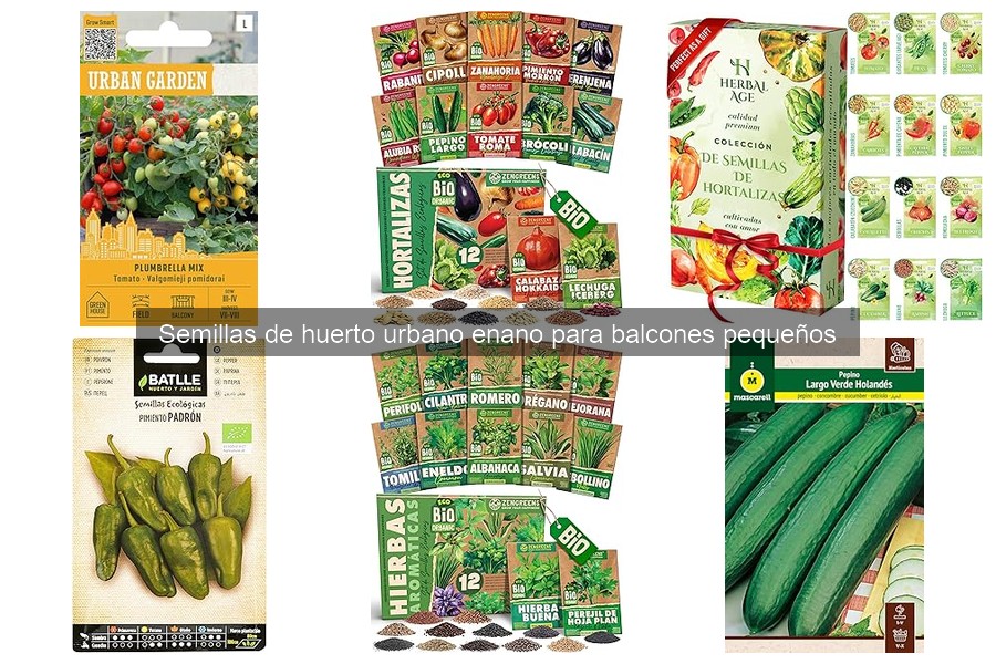 Cómo plantar semillas de huerto urbano enano en espacios pequeños