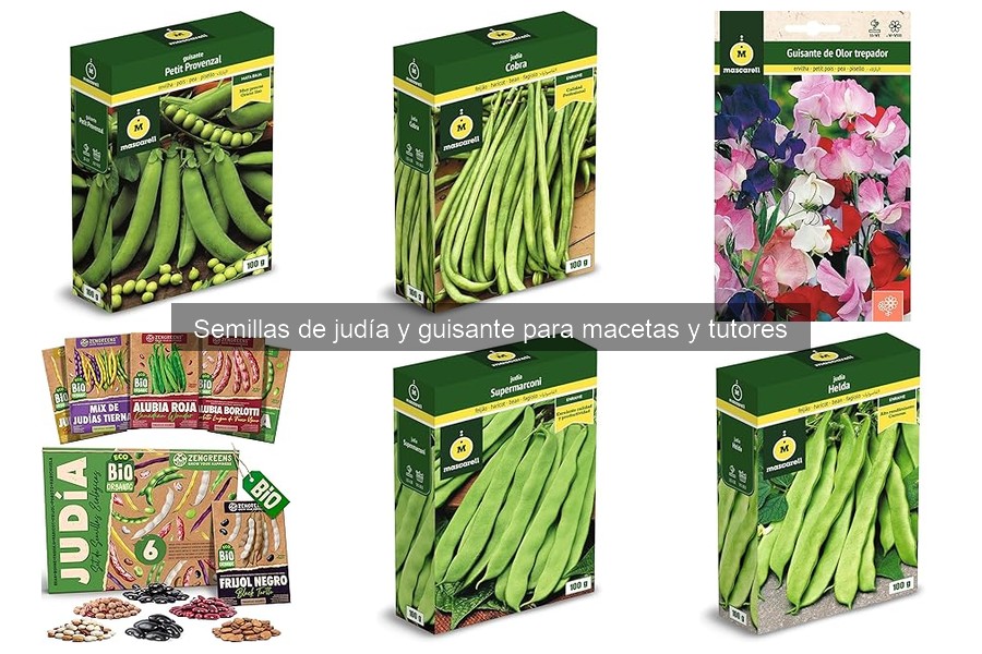 Cómo plantar semillas de judía y guisante en macetas